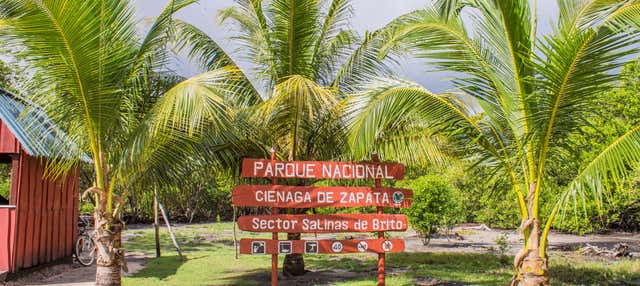 Excursión al Parque Nacional Ciénaga de Zapata
