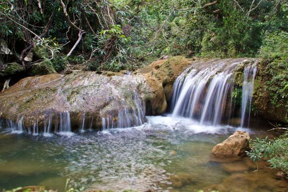 Las Terrazas & Soroa Waterfalls Day Trip