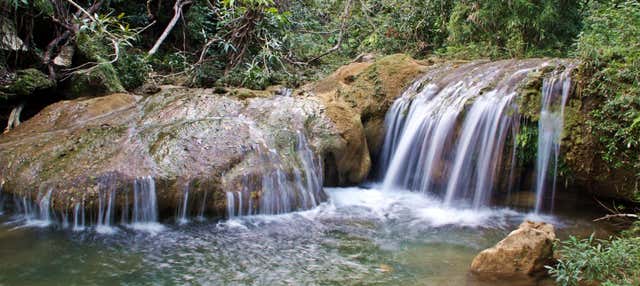 Excursión a Las Terrazas y Salto de Soroa