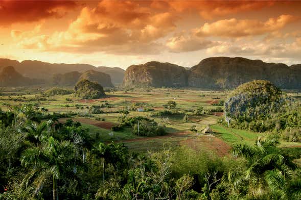 Excursión al Valle de Viñales