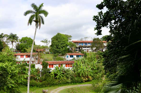 Day Trip to Viñales Valley & Las Terrazas