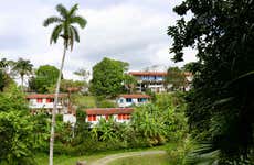 Excursión al Valle de Viñales y Las Terrazas