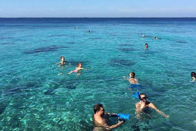 Swimming in the Bay of Pigs