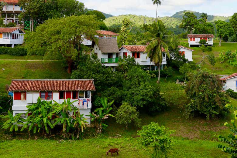 Typical houses in Las Terrazas