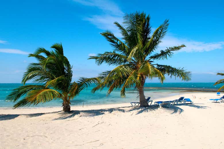 La playa en Cayo las Iguanas