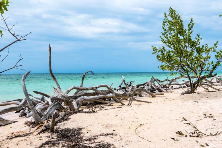Cayo Jutías, Cuba