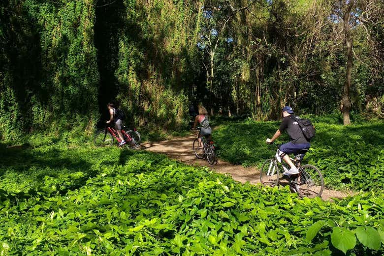 Disfrutando del tour en bicicleta