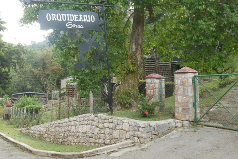 Entrando ao orquideario