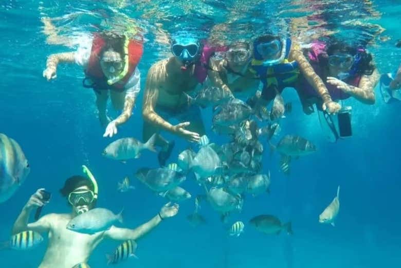 Snorkeling a Varadero