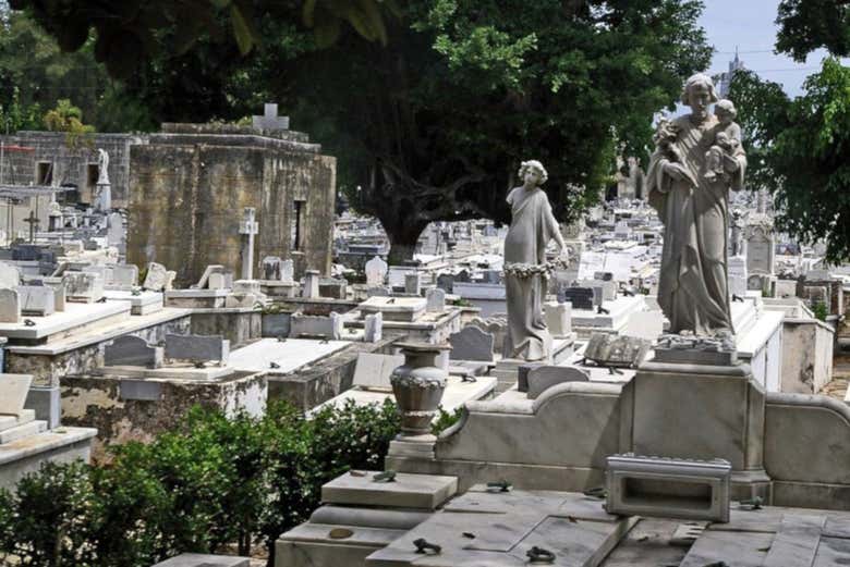 Scorcio del Cimitero di Cristoforo Colombo