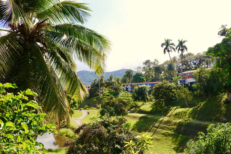 Vegetação e várias pequenas casas ao fundo em Las Terrazas