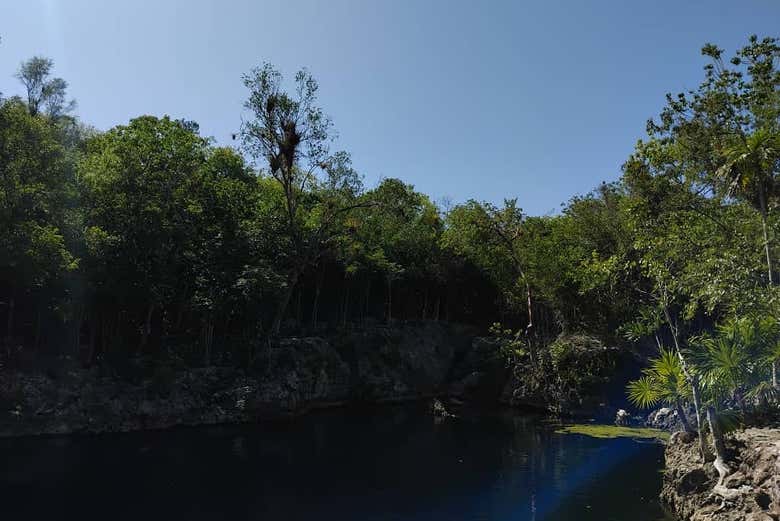 Disfrutaréis en plena naturaleza