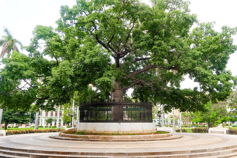 Parque de la Fraternidad