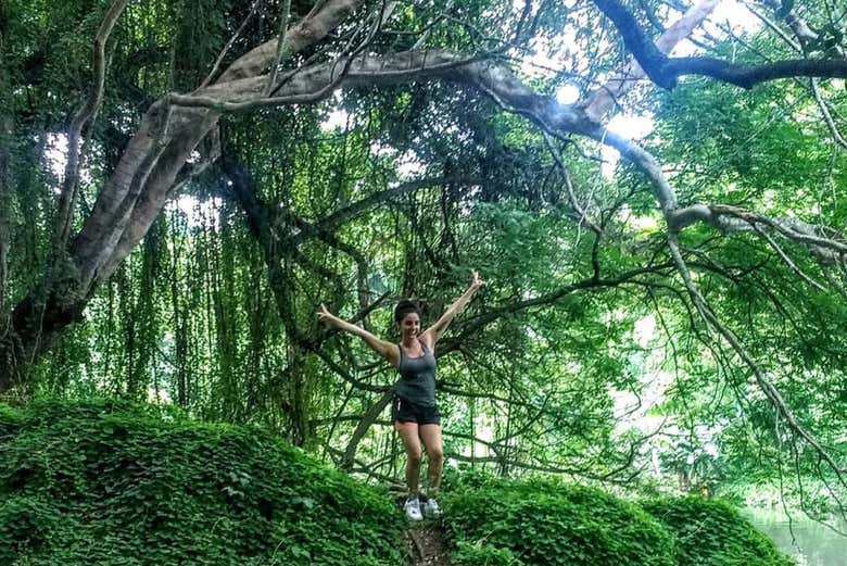 Paseando por el bosque de La Habana