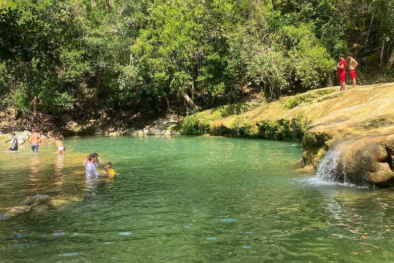 L'activité parfaite pour les amoureux de la nature !