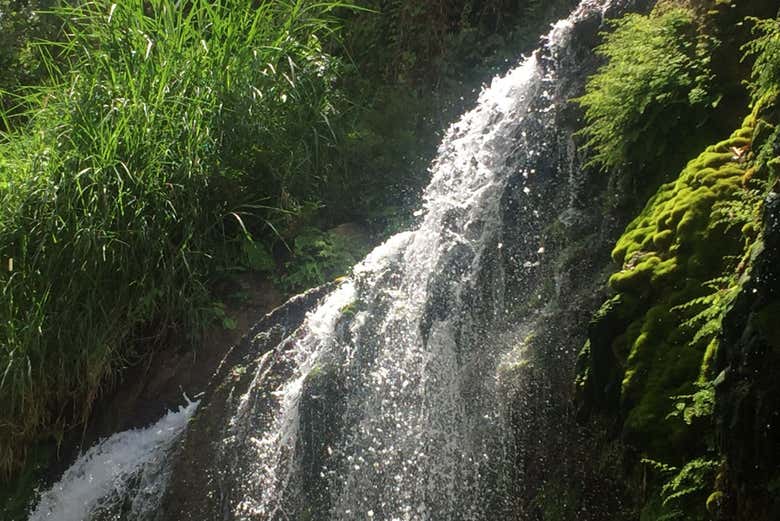 A atividade perfeita para os amantes da natureza