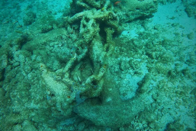 Fondo marino de La Habana