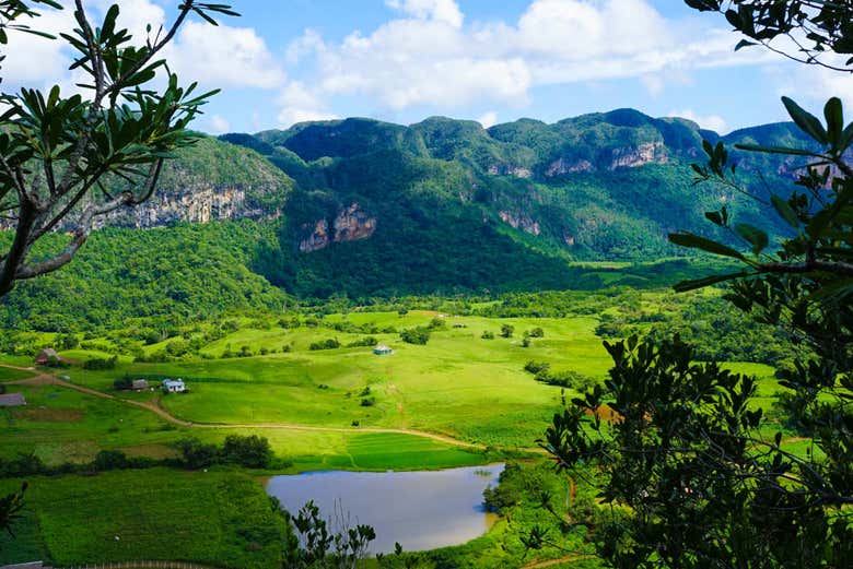 Vale de Viñales
