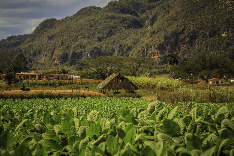 Paesaggi della Valle di Viñales