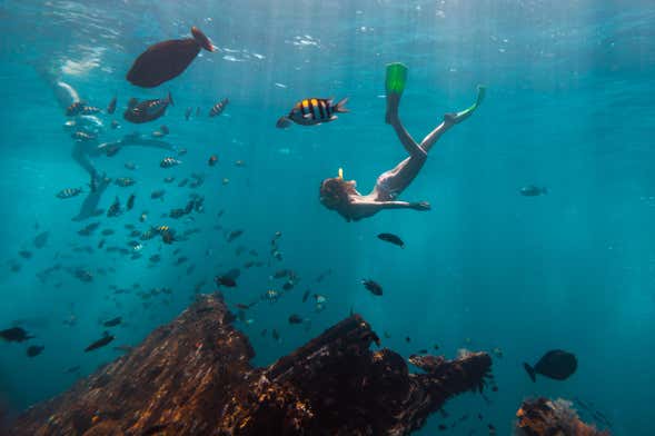 Snorkel em Havana