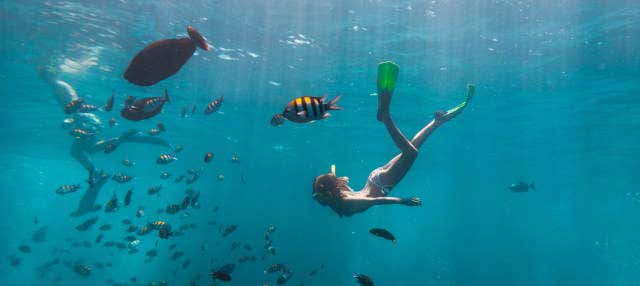Snorkel en La Habana