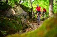 Tour en bicicleta por el bosque de La Habana
