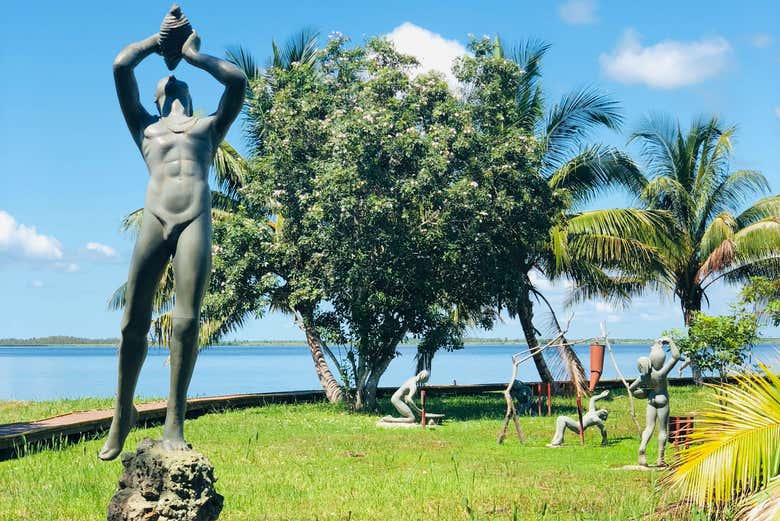 Paisajes de la Ciénaga de Zapata