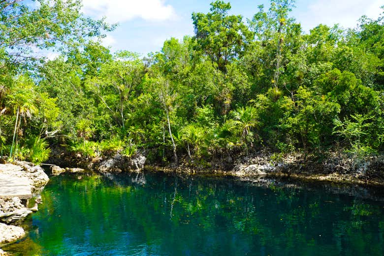 El cenote Cueva de los Peces