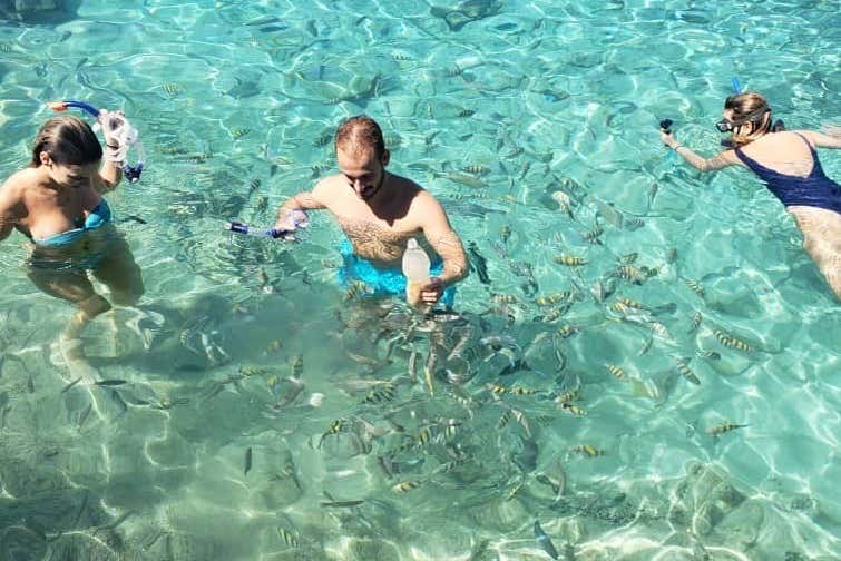 Explorando la vida marina de la Cueva de los Peces