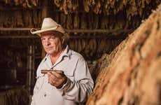 Tour del tabaco