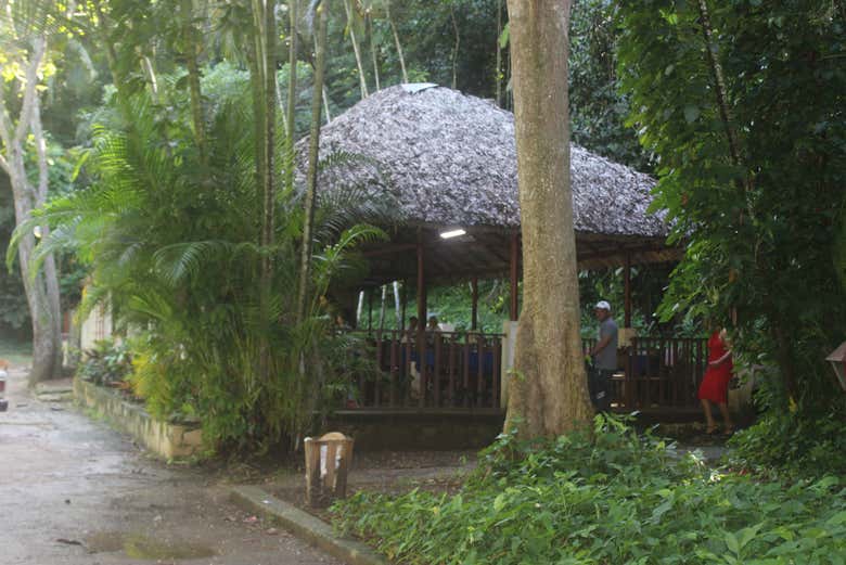 Recorriendo los Jardines Hershey