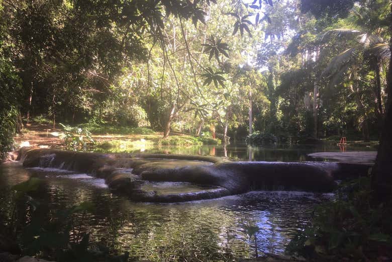 Estaremos rodeados por la naturaleza más salvaje