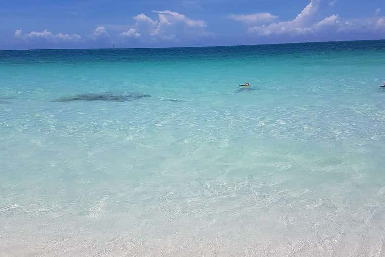 Aguas cristalinas del Cayo Santa María