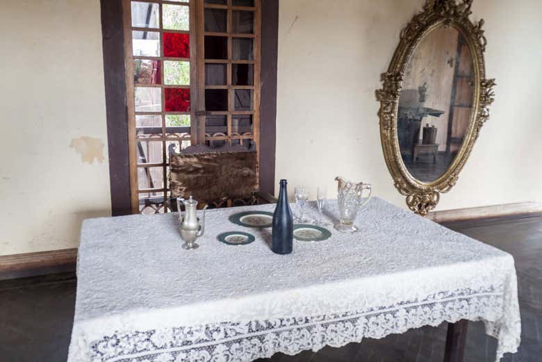 All'interno della piantagione di caffè La Isabelica