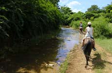 Excusión a caballo a la cascada El Pilón