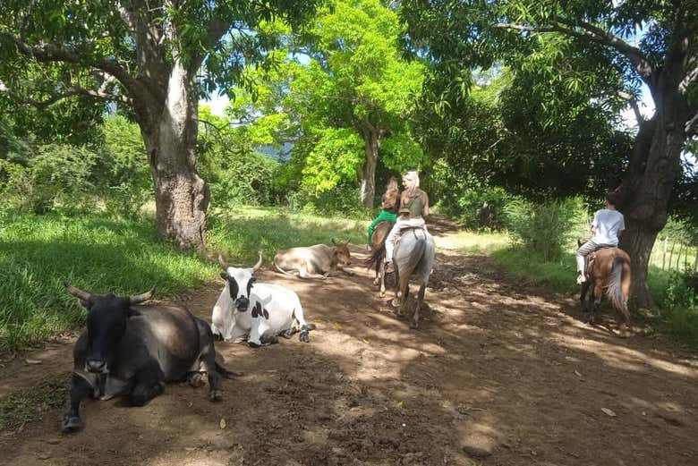 Durante la passeggiata a cavallo