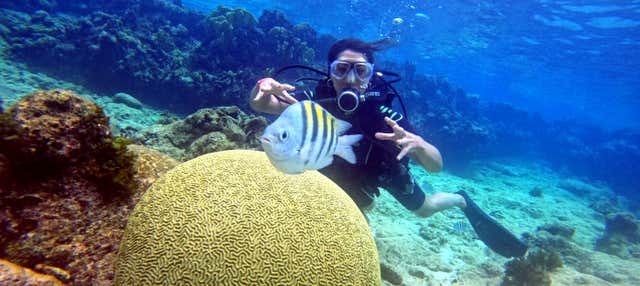 Buceo en la bahía de Cochinos