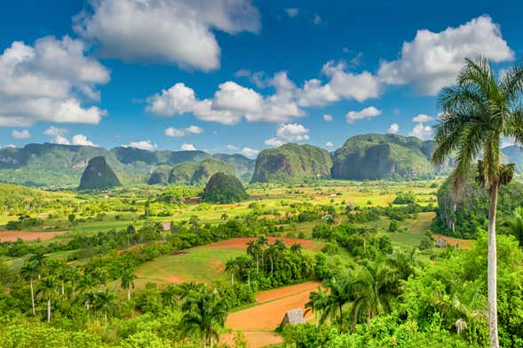 Escursione a Viñales