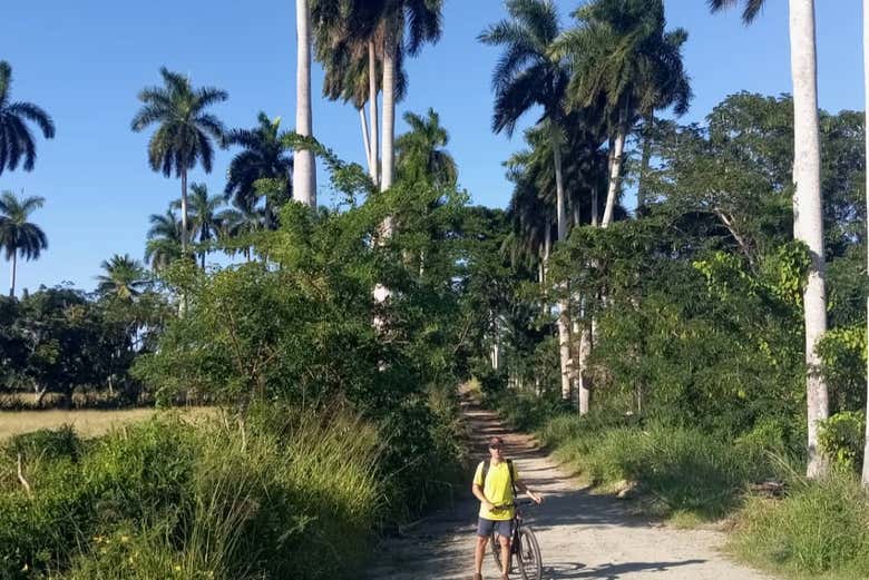 Entouré de la nature de Varadero