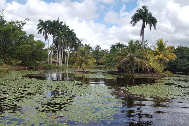 Visit this UNESCO-listed Nature Reserve