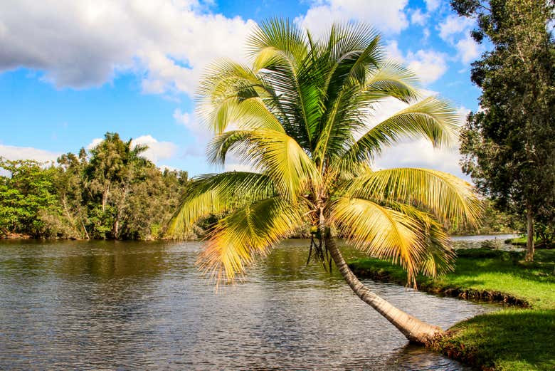 A fascinating ecosystem