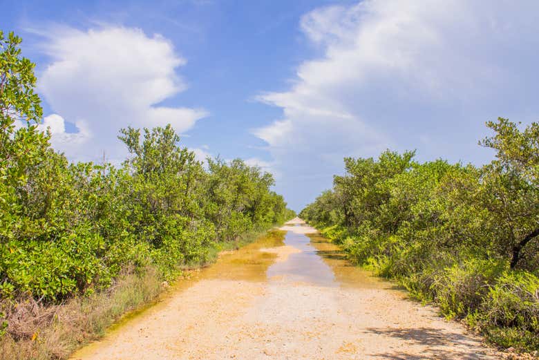 Visiting the most important wetland in the insular Caribbean