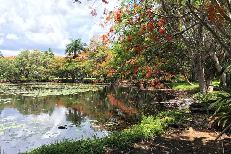 Parc national Ciénaga de Zapata