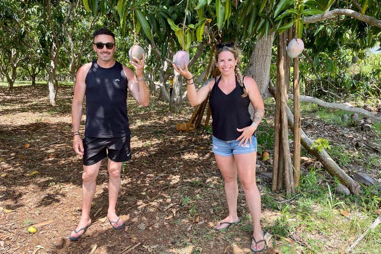 Découvrez l'agriculture locale