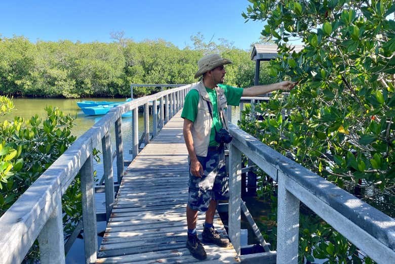 Guide expliquant la flore de la zone