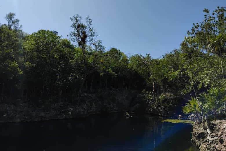 Vous verrez la plus grande zone humide des Caraïbes insulaires