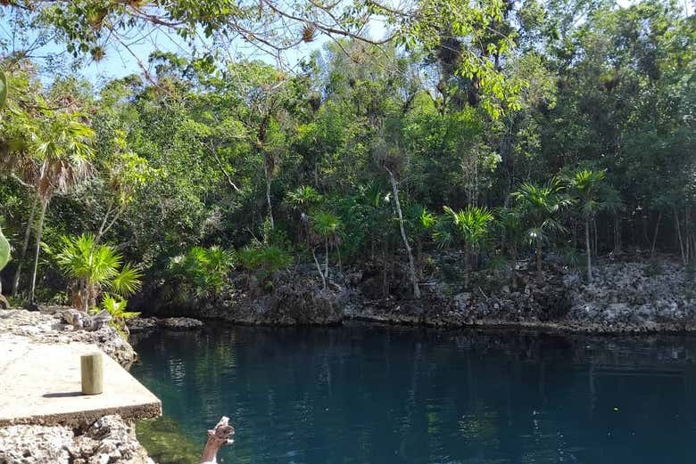 Vue du marais de la réserve