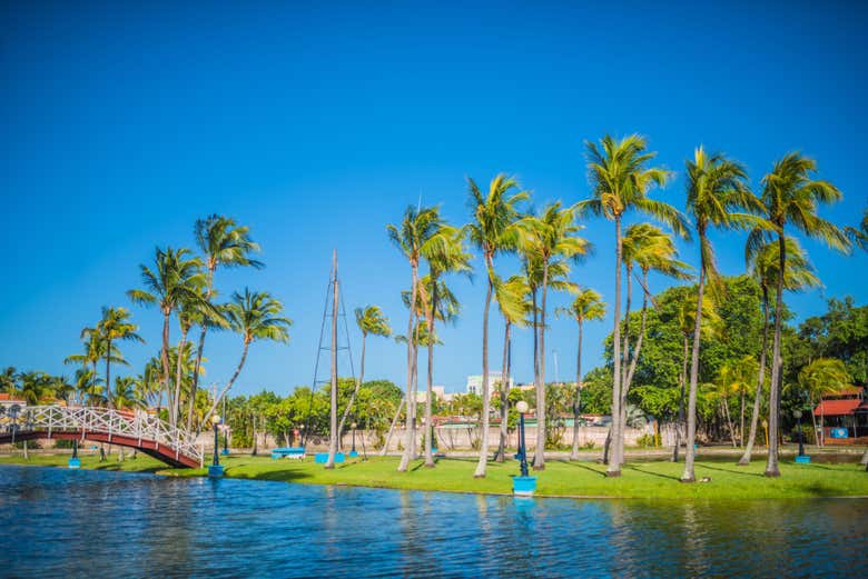 Bridge in Josone Park