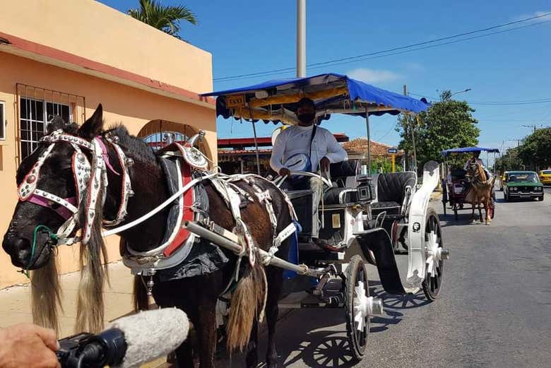 Enjoy a horse-drawn carriage ride