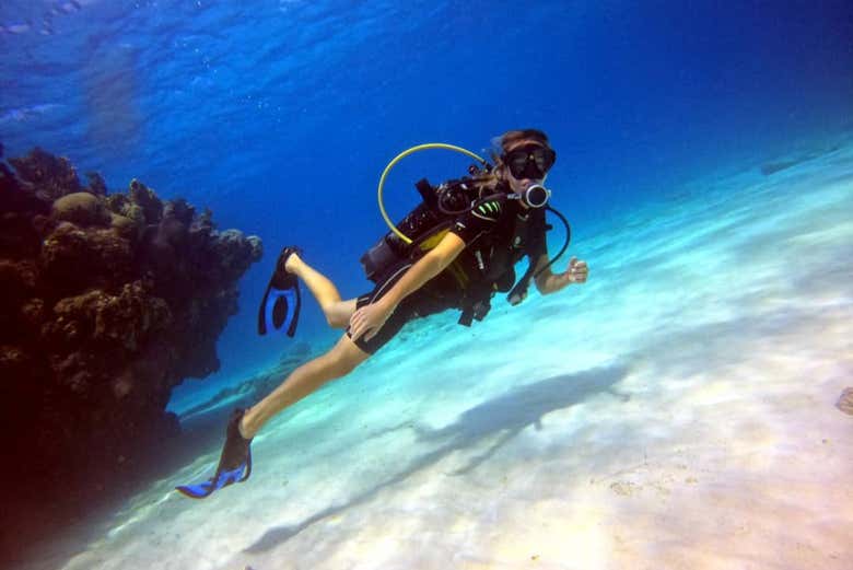Scuba dive in Caribbean waters